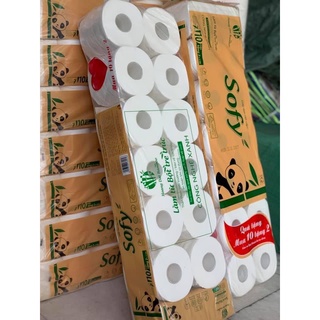 Giấy vệ sinh gấu trúc