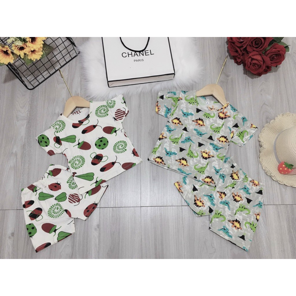 Bán sỉ 5 bộ cotton xuất dư nhiều hình cho bé