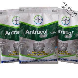 ANTRACOL 70WP - ĐẶC TRỊ THÁN THƯ, AN TOÀN TRÊN BÔNG, CHÍNH HÃNG CHẤT LƯỢNG CAO