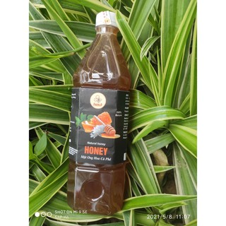 Mật ong hoa cafe nguyên chất 100% tự nhiên - 1lit