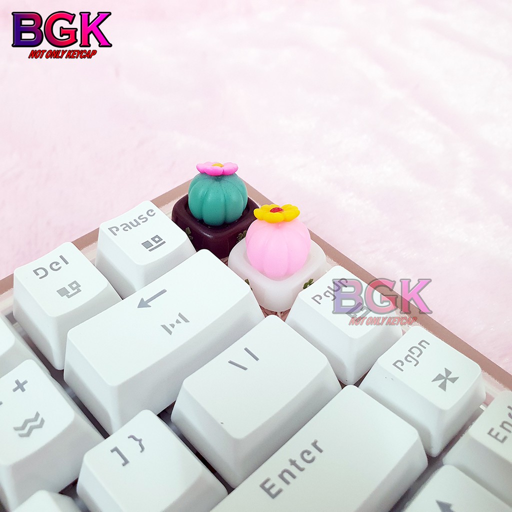 Keycap Lẻ Artisan Xương rồng dễ thương Cực đẹp ( cast resin nhiều lớp, Keycap bàn phím cơ,keycap resin độc lạ )