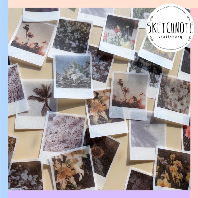 Sticker phong cảnh 40 chiếc ST099