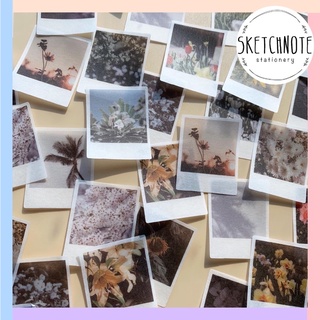 Sticker phong cảnh 40 chiếc ST099