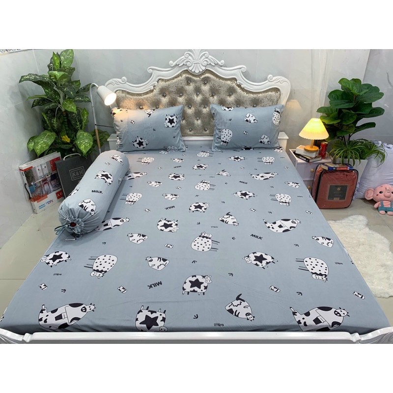 Drap thun Hàn quốc ( 7 màu)
