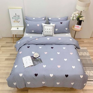 2.Bộ Chăn Ga Gối Cotton ( ảnh shop tự chụp)