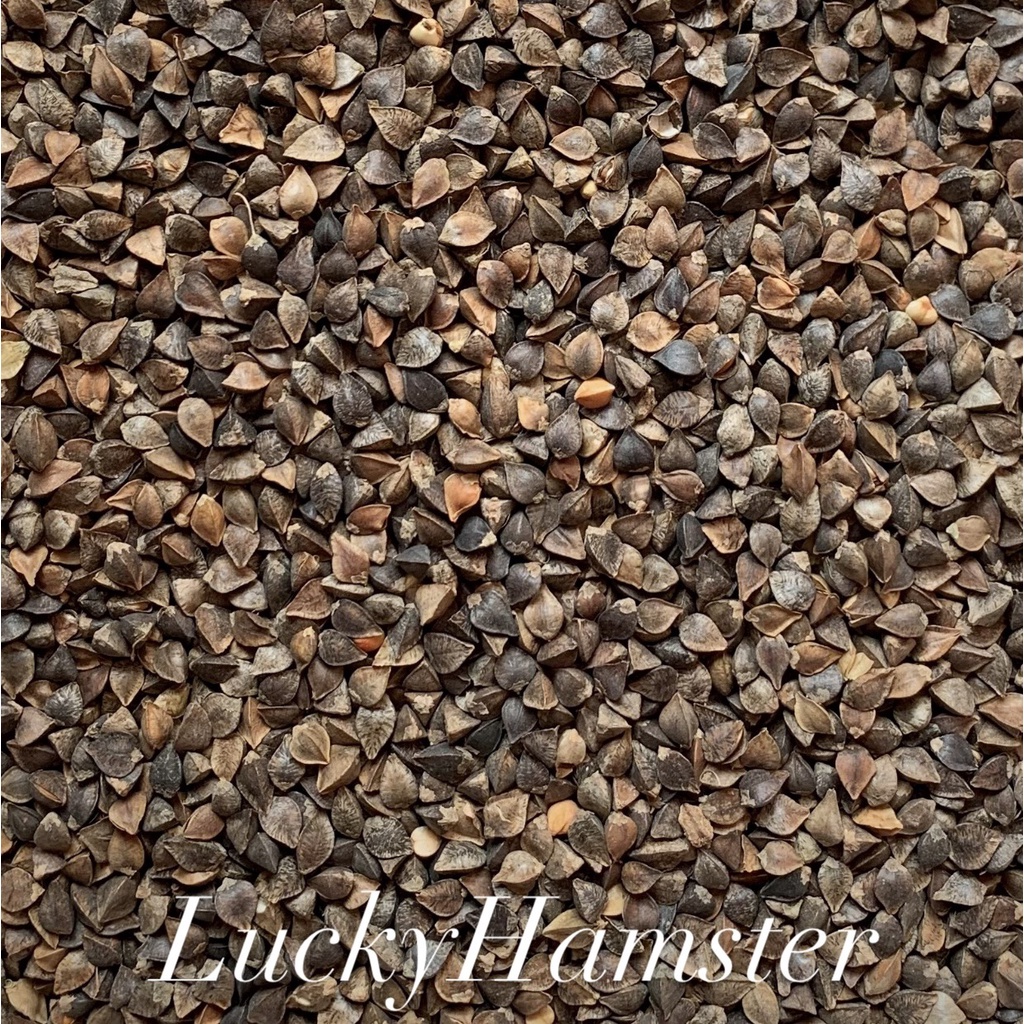 Hạt ba khía cho Hamster 1kg