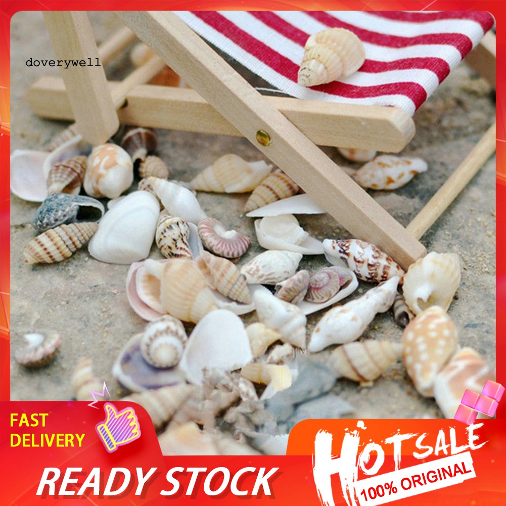 40 Vỏ Sò Mini Cho Trang Trí Tiểu Cảnh