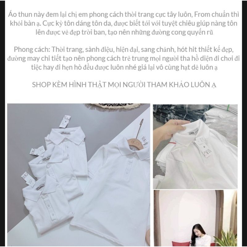ÁO THUN POLO ZARA CỘC TAY TRẮNG | BigBuy360 - bigbuy360.vn