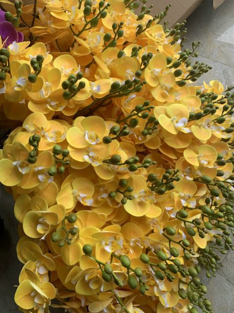 Hoa lan -Lan hồ điệp loại cao cấp làm bằng cao su phủ gân siêu xinh iu(đẹp như hoa thật)