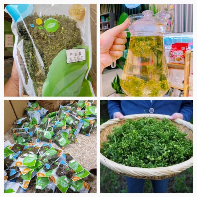 Trà hoa sâm Hàn Quốc