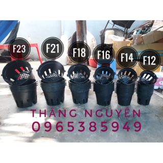 10 chậu nhựa trồng lan f18