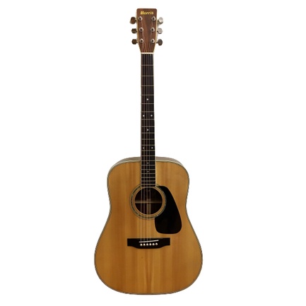 Guitar Acoustic Morris MD 510