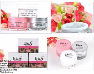 Gel E&A.