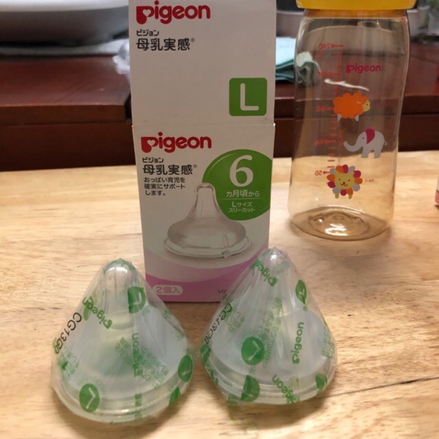 Núm ti pigeon