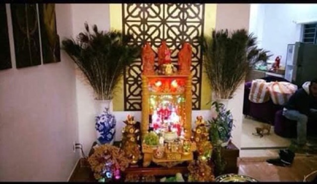 Sỉ 100 cành lông công 80cm GIÁ SỐC | BigBuy360 - bigbuy360.vn