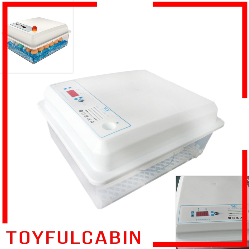 Máy Ấp Trứng Kỹ Thuật Số Tự Động Điều Khiển Nhiệt Độ