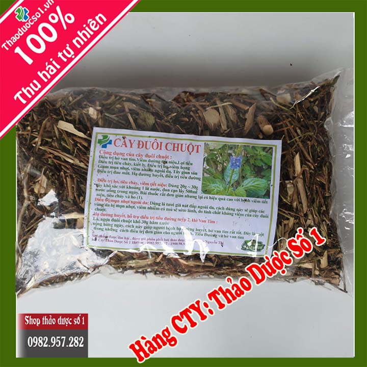 Đuôi chuột  điều trị hở van tim, tiểu đường-1Kg SP CTY Thảo Dược Số 1