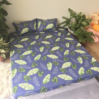 Sét  ga gối và vỏ chăn ()( 1,2m , 1,6m , 1,8m ,2,2m)