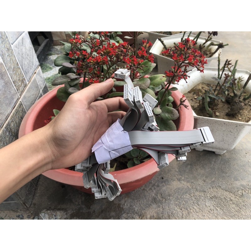 bus 8 đôi (hàng thanh lí)