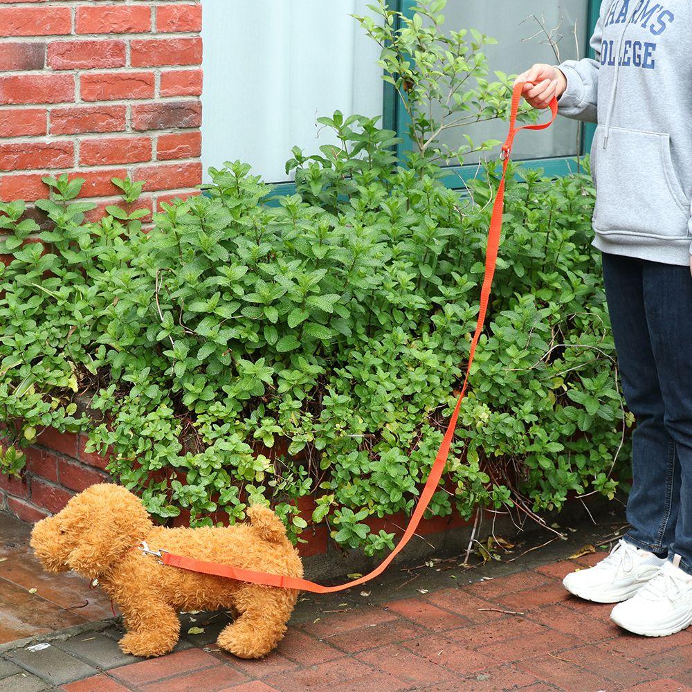 SUYO Vòng Cổ Đi DạO Cho Thú Cưng