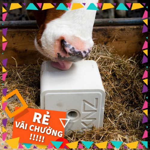 Đá liếm chăn nuôi KNZ  xuất xứ Hà Lan