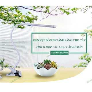 Đèn Đọc Sách Bảo Vệ Mắt Kết Hợp Ánh Sáng Quang Hợp Cho Cây Để Bàn 02