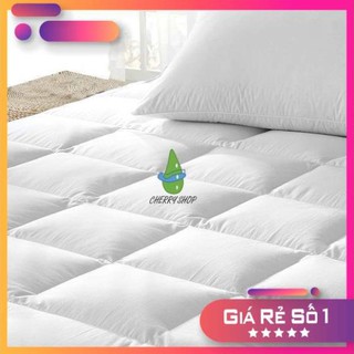 ruột chăn  ruột mền  cotton size: 1m6/m8/2m2x2m