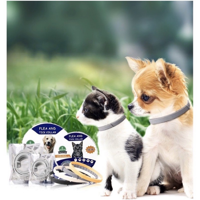 Vòng cổ trị rận cho chó mèo mùi hương thảo dược không độc hại - Flea And Tick Collar