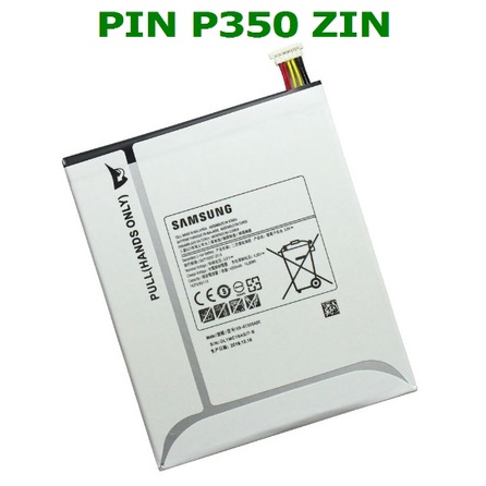 PIN P350 ZIN