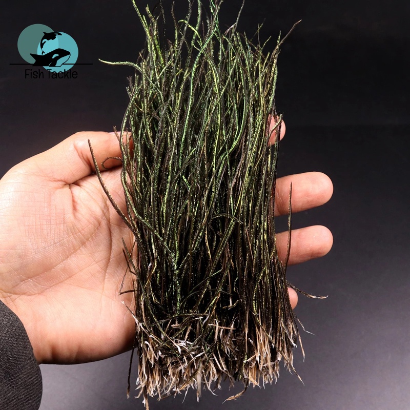 Cánh Thiên Nhiên Chữ Nymph Thorax Cho Câu Cá