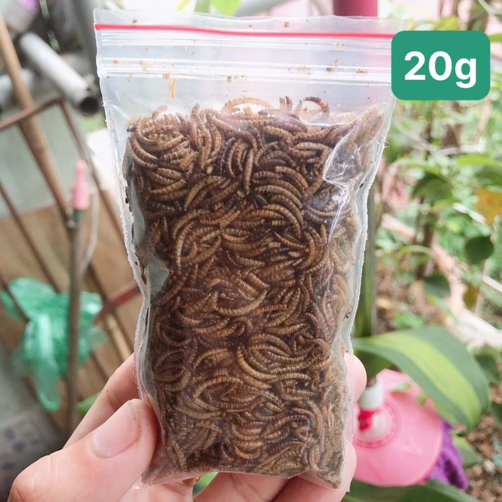 Sâu cho Hamster gói nhỏ,đồ ăn cho Hamster 20g,40g,100g