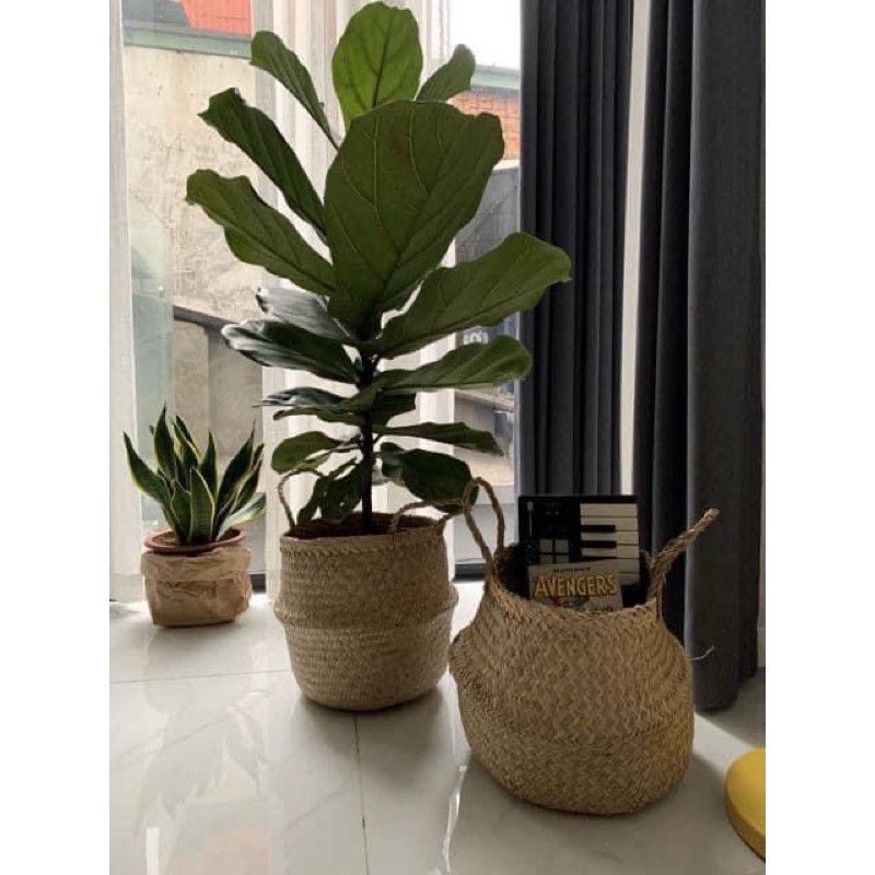 Giỏ cói, sọt cói đựng đa năng siêu hót