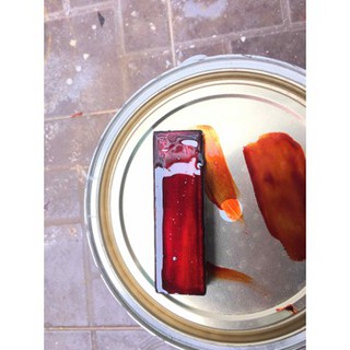 Dầu Bóng Màu Cánh Gián Dolphin (800gr)