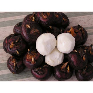 MỨT CỦ NĂNG 500g