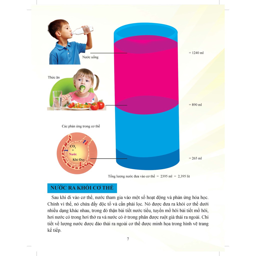 Sách - Cơ Thể Của Tôi Hoạt Động Như Thế Nào: Thận