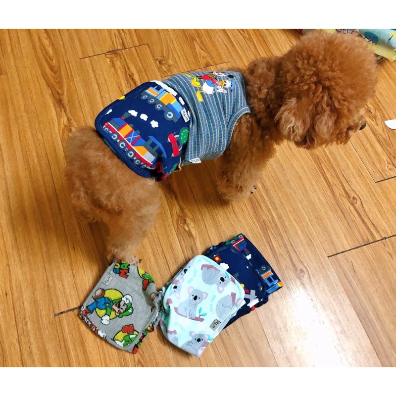 quần sinh lí chó đực cute