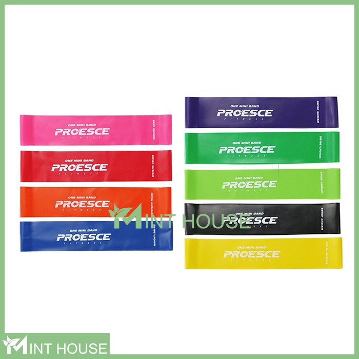 Dây Mini Band Proesce Fitness, Dây Kháng Lực Tập Mông Đùi