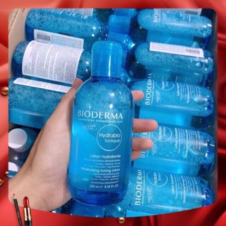 Nước hoa hồng Bioderma 250ml