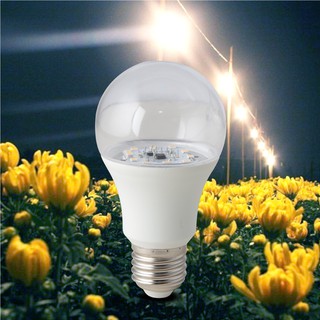 Bóng đèn LED Rạng Đông chuyên dụng cho trồng cây hoa cúc 9W đui E27