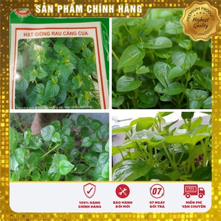 Hạt giống rau càng cua rau xanh trồng chậu gói 0.5 G