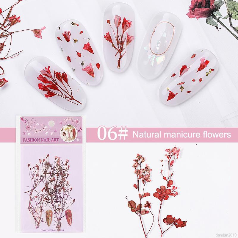 Hoa Khô 3d Đính Móng Tay Nghệ Thuật