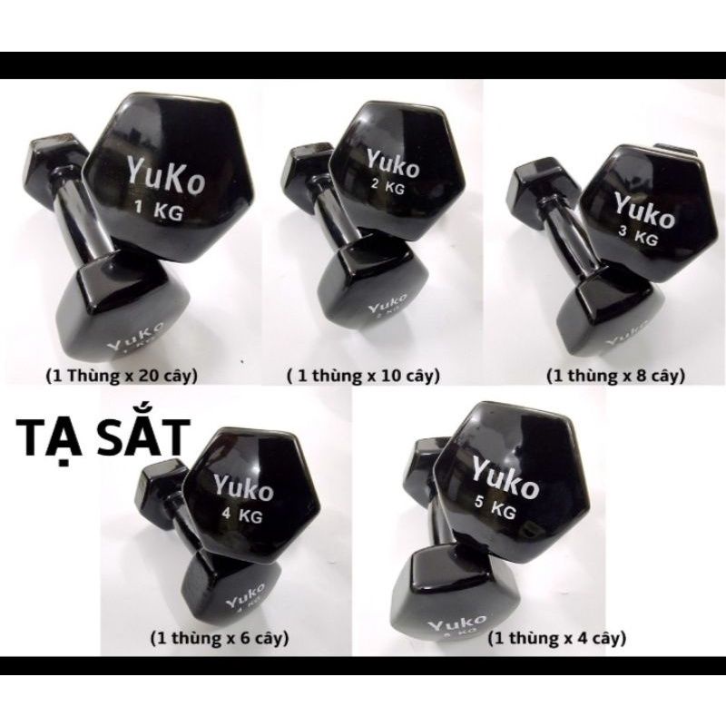 Tạ tay 4kg nhập khẩu (hàng loại 1)