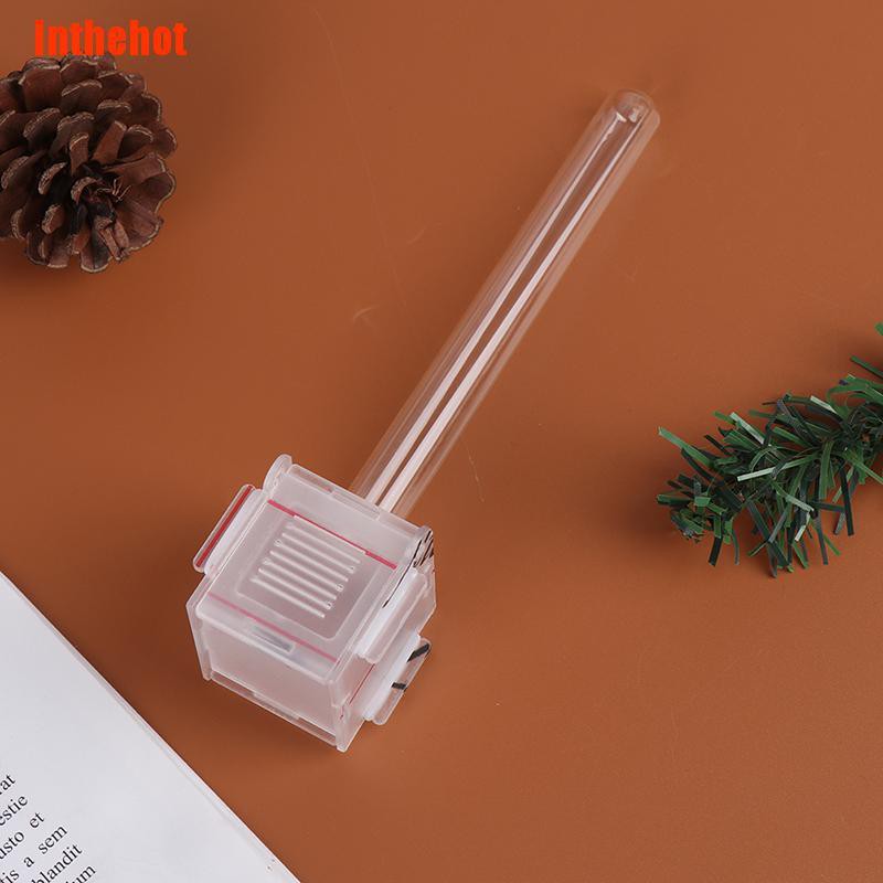 Kiến Mini Trong Suốt