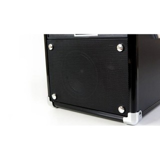 Loa vi tính SoundMax D1000