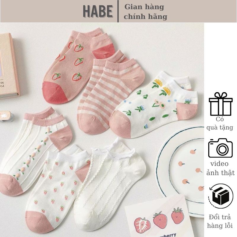 Set 6 đôi tất vớ nữ cotton Hàn Quốc cổ ngắn khử mùi thông hơi hoạ tiết cute dễ thương HABE TV02