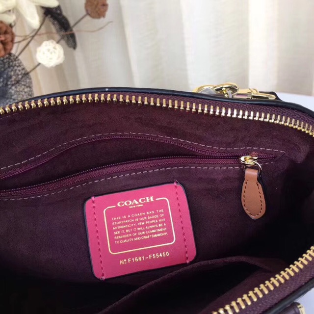 🔥TÚI COACH HẾN F27597