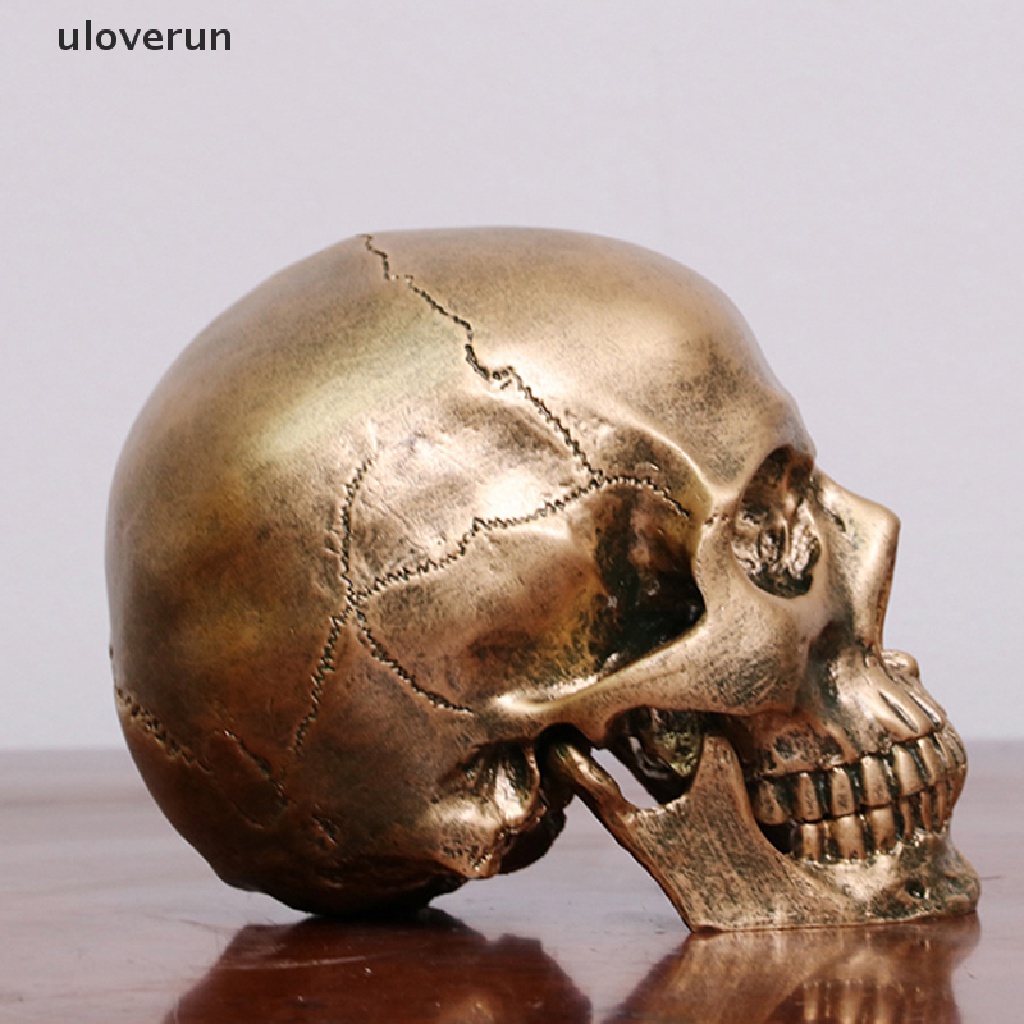 Mô Hình Đầu Lâu Người Bằng Nhựa Resin Đồng Tỉ Lệ 1: 1 Trang Trí Halloween