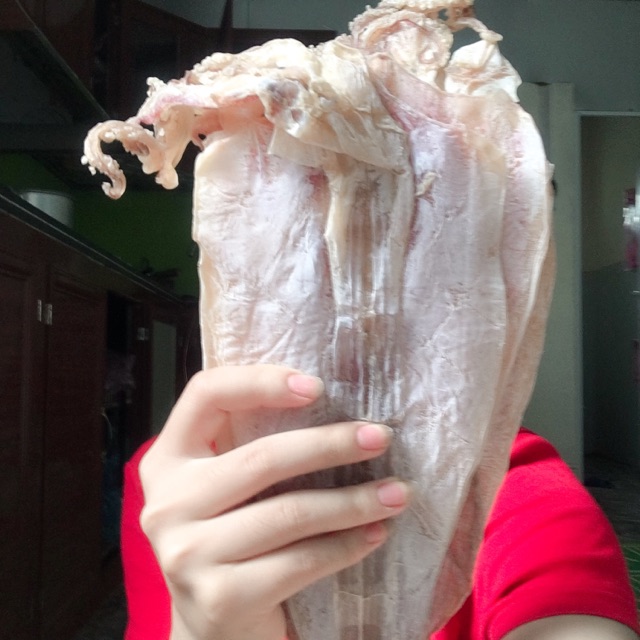 Combo 1,5kg mực size đại+4kg mực mini