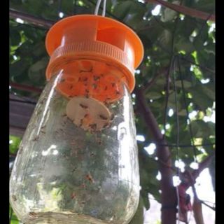 1 ống dẫn dụ RV (ống 2ml)