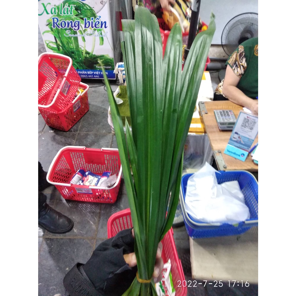Lá nếp tươi Fresh Pandan Leavesnấu chè,làm bánh